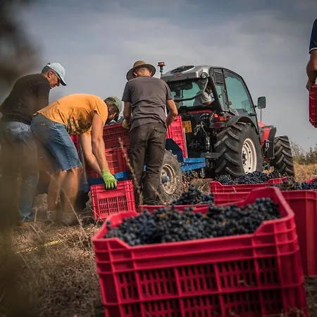 Appartement Cascina Nomade - Wine & Scenic Retreat