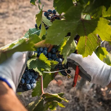 Appartement Cascina Nomade - Wine & Scenic Retreat