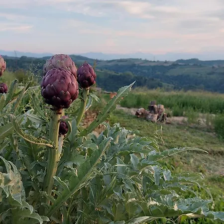 Cascina Nomade - Wine & Scenic Retreat شقة