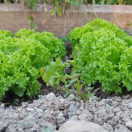 Appartamento Cascina Nomade - Wine&scenic Retreat