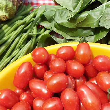 Appartamento Cascina Nomade - Wine&scenic Retreat Dogliani