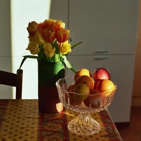 شقة Cascina Nomade - Wine & Scenic Retreat