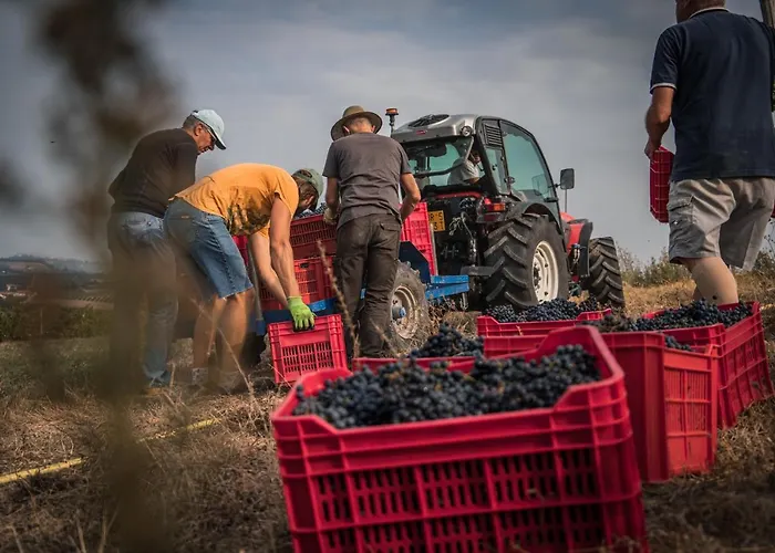 Appartement Cascina Nomade - Wine & Scenic Retreat