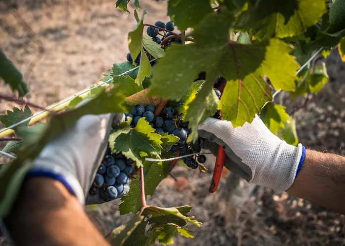 Appartement Cascina Nomade - Wine & Scenic Retreat