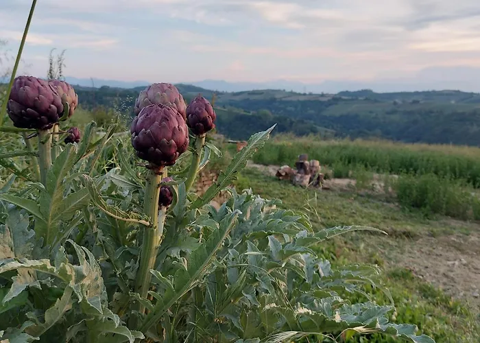 Cascina Nomade - Wine & Scenic Retreat 아파트