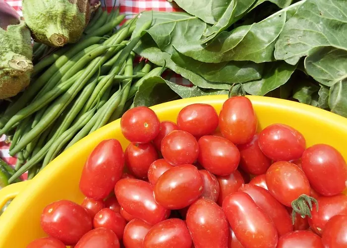 Appartement Cascina Nomade - Wine & Scenic Retreat Dogliani