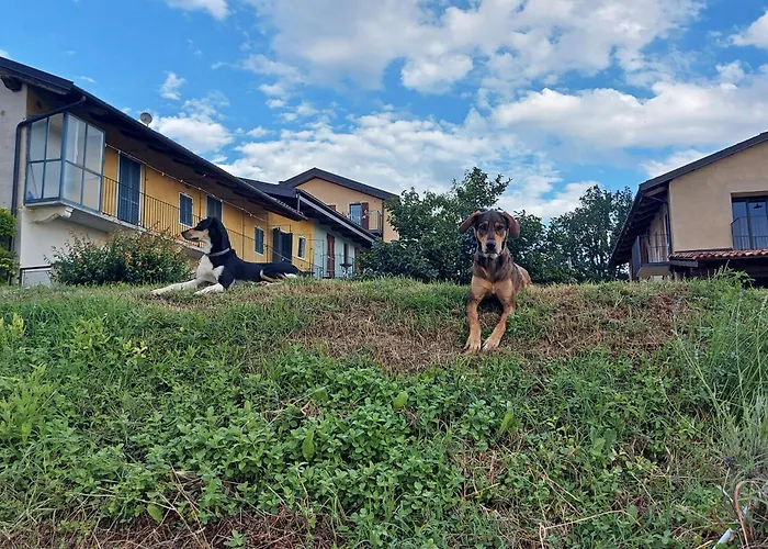 Cascina Nomade - Wine & Scenic Retreat * 돌리아니