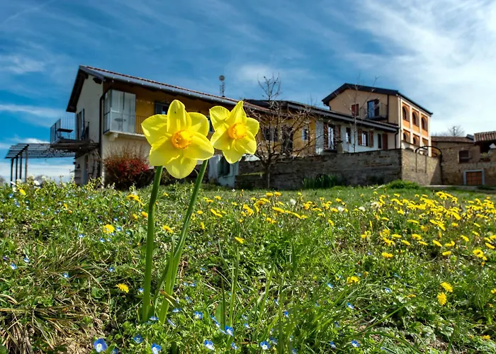 아파트 Cascina Nomade - Wine & Scenic Retreat 돌리아니